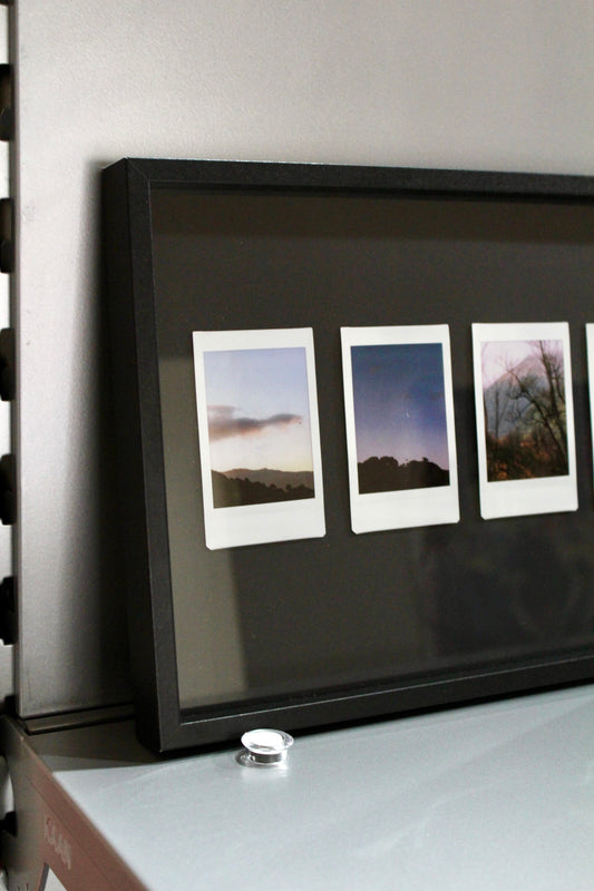 Peace in New zealand