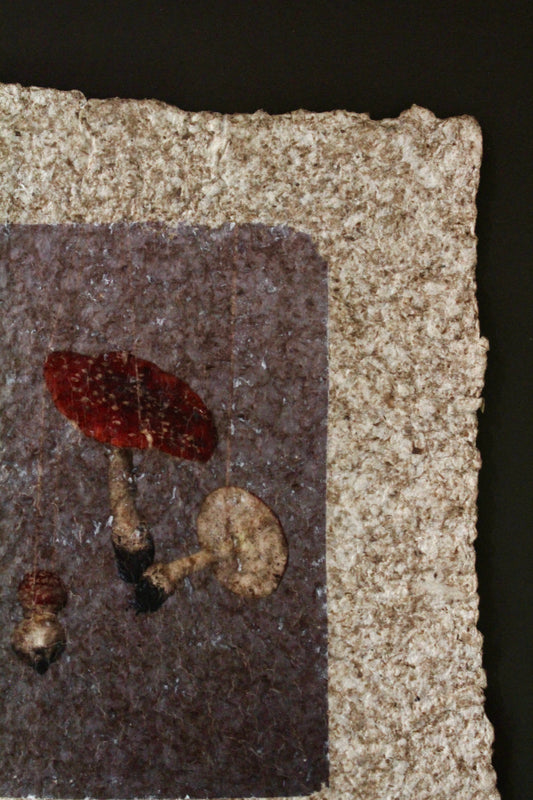 Intertwined: fly agaric