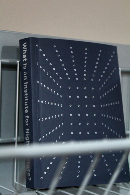 What is an Institute for Night Culture?