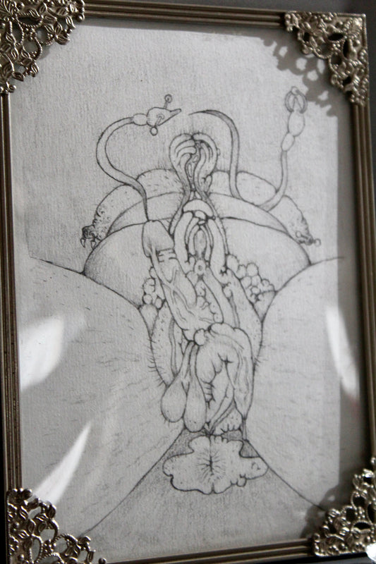 average they/he pussy