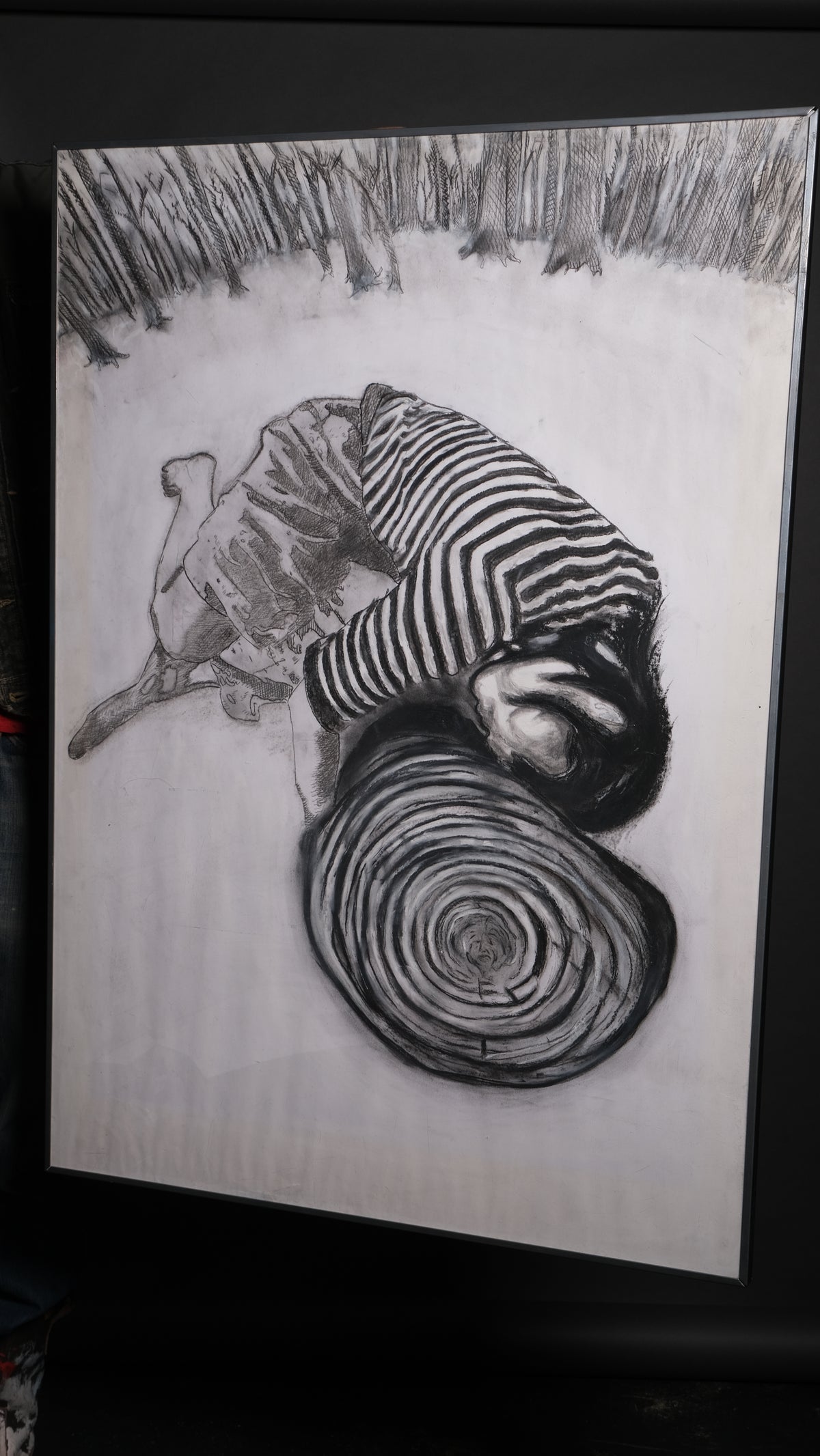 Growth Rings
