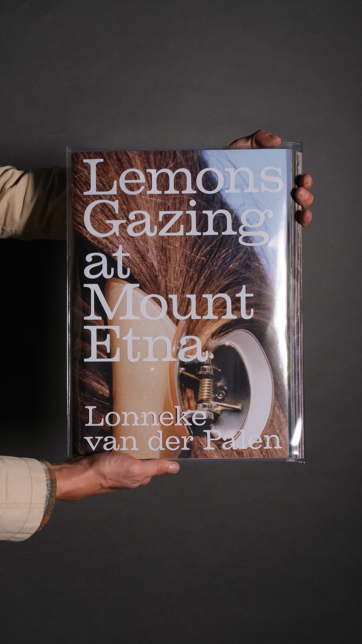 Lemons Gazing at Mount Etna